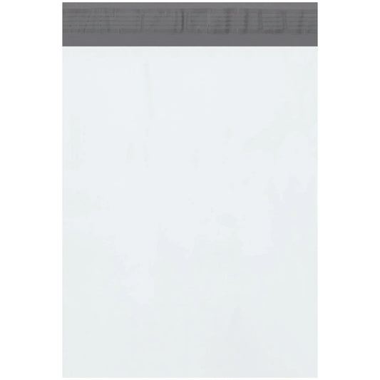 10" x 13" 2.5mil 1,000/case, Poly Mailer - CMB1013 Baumrucker