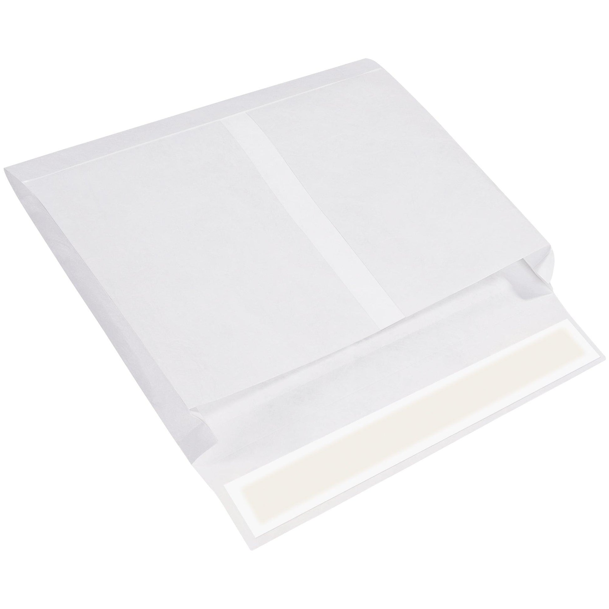 10 x 15 x 2" White Expandable Tyvek® Envelopes - TYE10152WS