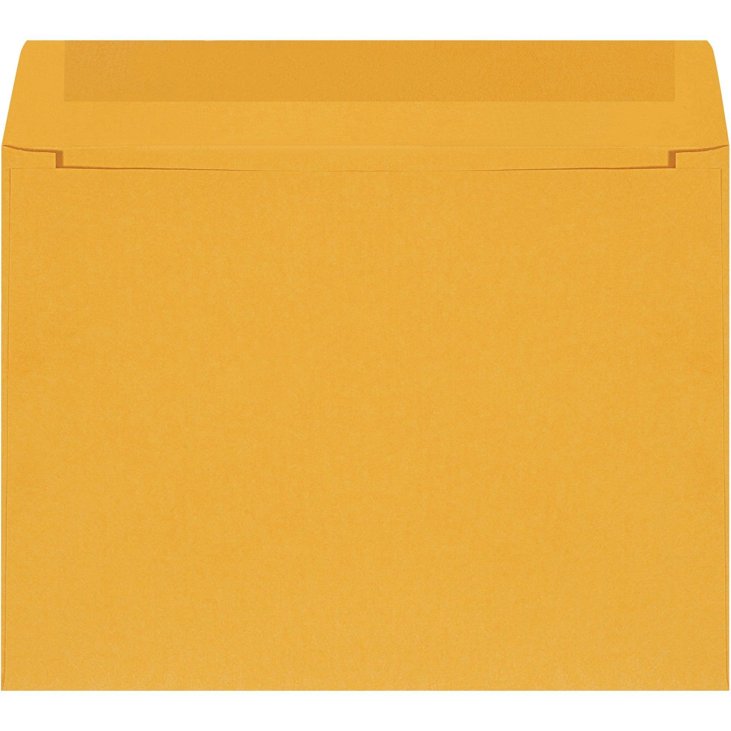 12 x 9" Kraft Self-Seal Envelopes - EN1033