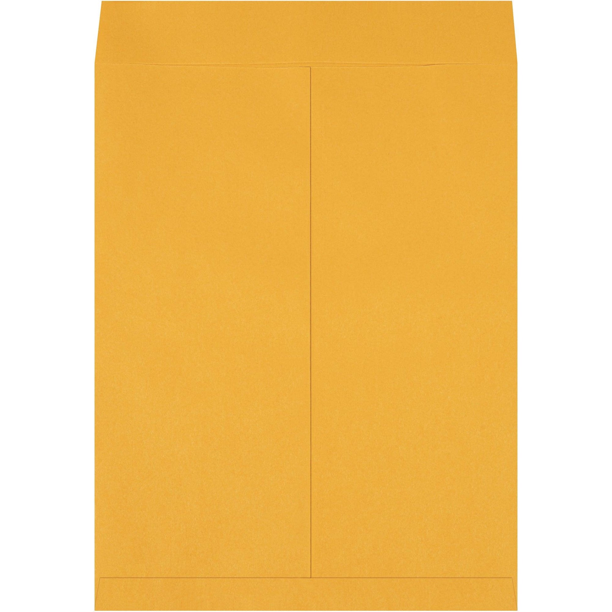 17 x 22" Kraft Jumbo Envelopes - EN1084