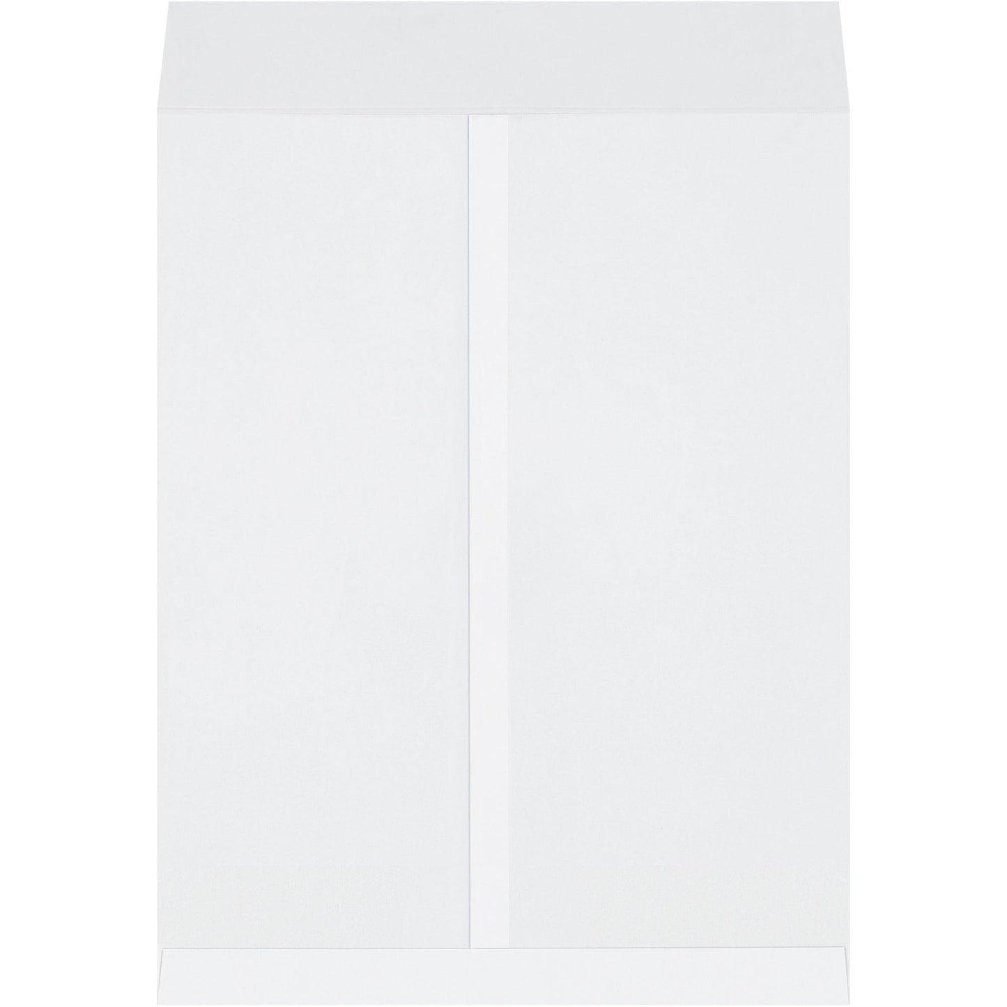 17 x 22" White Jumbo Envelopes - EN1084W