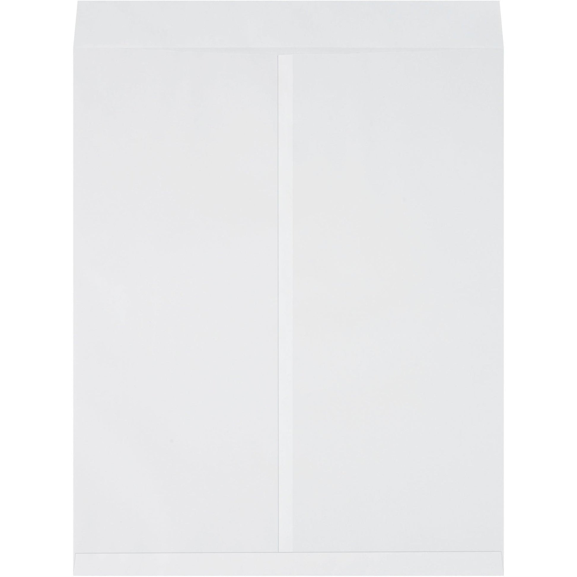 22 x 27" White Jumbo Envelopes - EN1086W