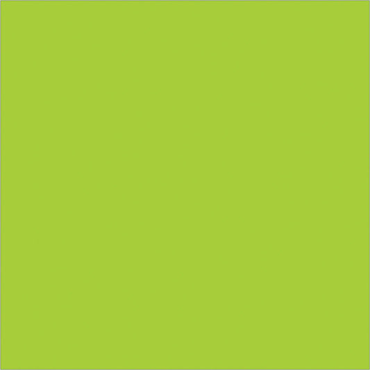 4 x 4" Fluorescent Green Inventory Rectangle Labels - DL638J