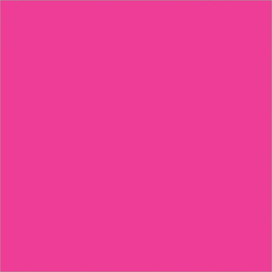 4 x 4" Fluorescent Pink Inventory Rectangle Labels - DL638K