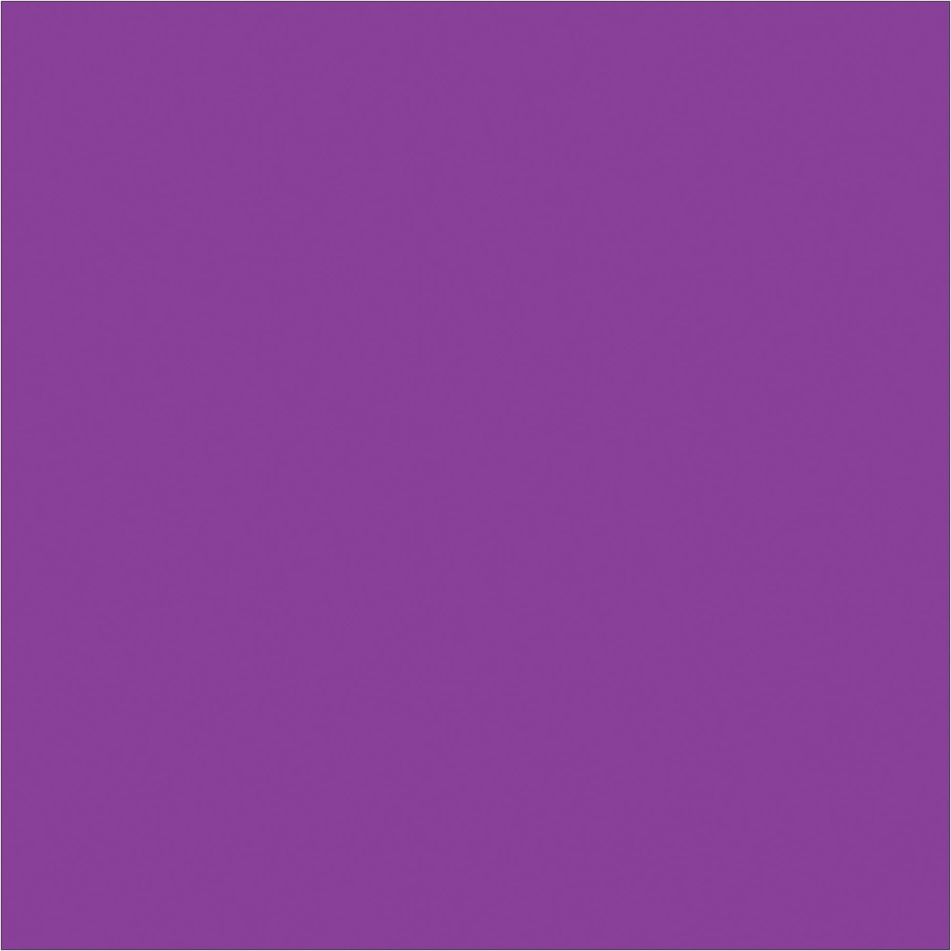 4 x 4" Purple Inventory Rectangle Labels - DL638M