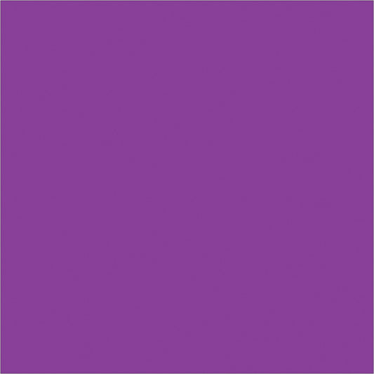 4 x 4" Purple Inventory Rectangle Labels - DL638M