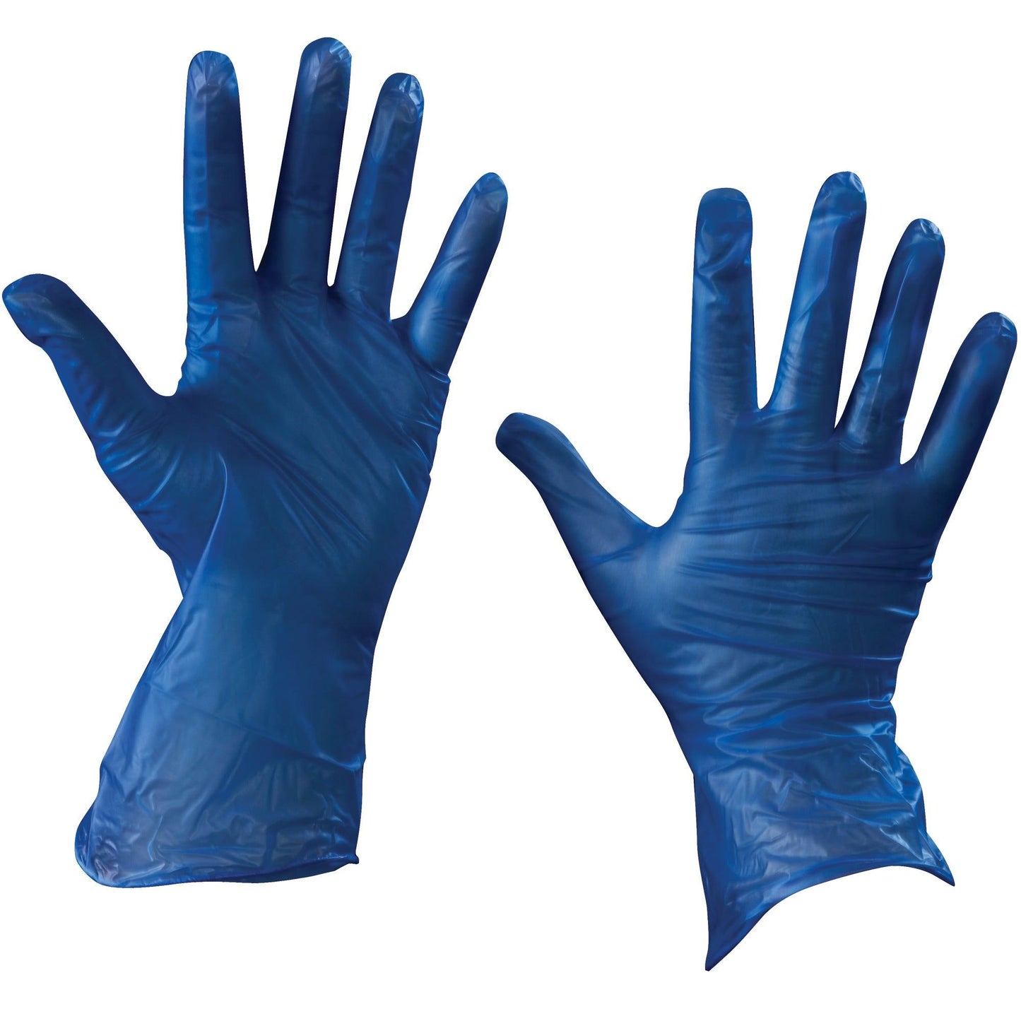 Vinyl Gloves - Blue - 5 Mil - Powder Free - Large - GLV2045L