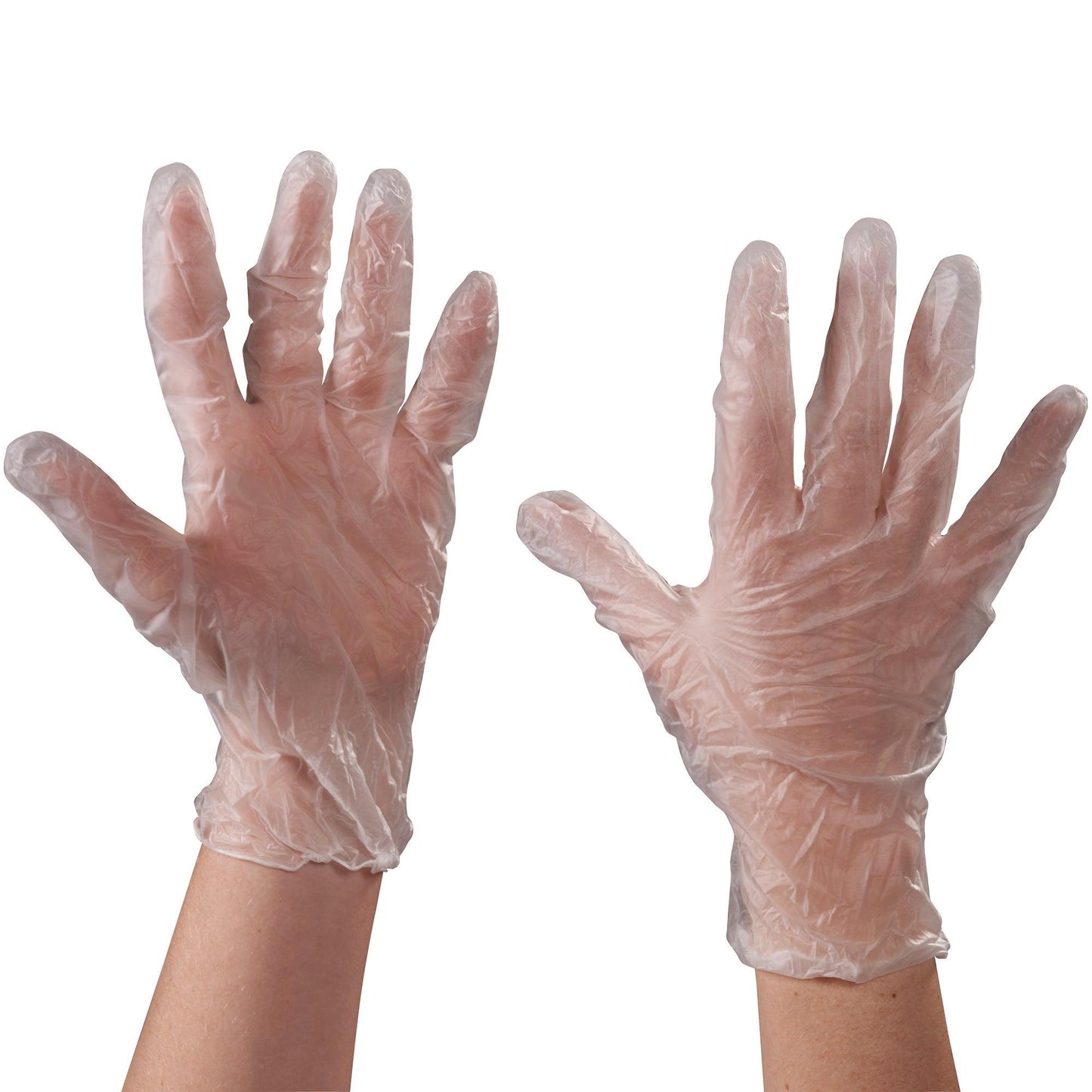 Vinyl Gloves - Clear - 3 Mil - Powder Free - Large - GLV2041L