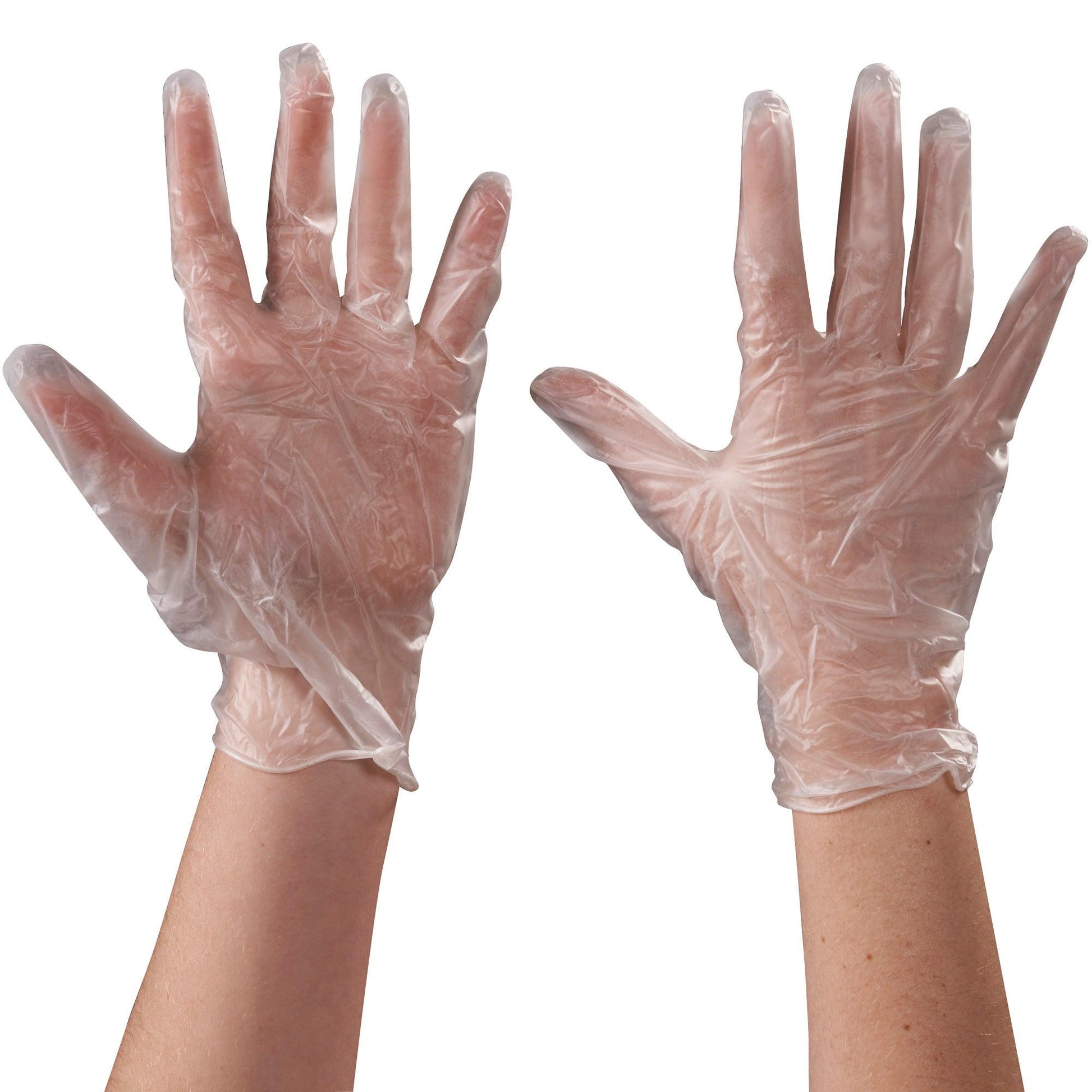 Vinyl Gloves Clear - 5 Mil - Powder Free - Large - GLV2043L